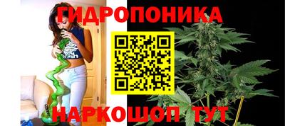 сатива Волжский