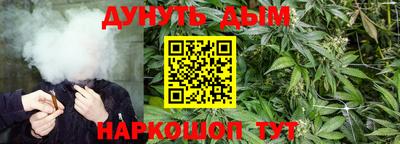 сатива Волжский
