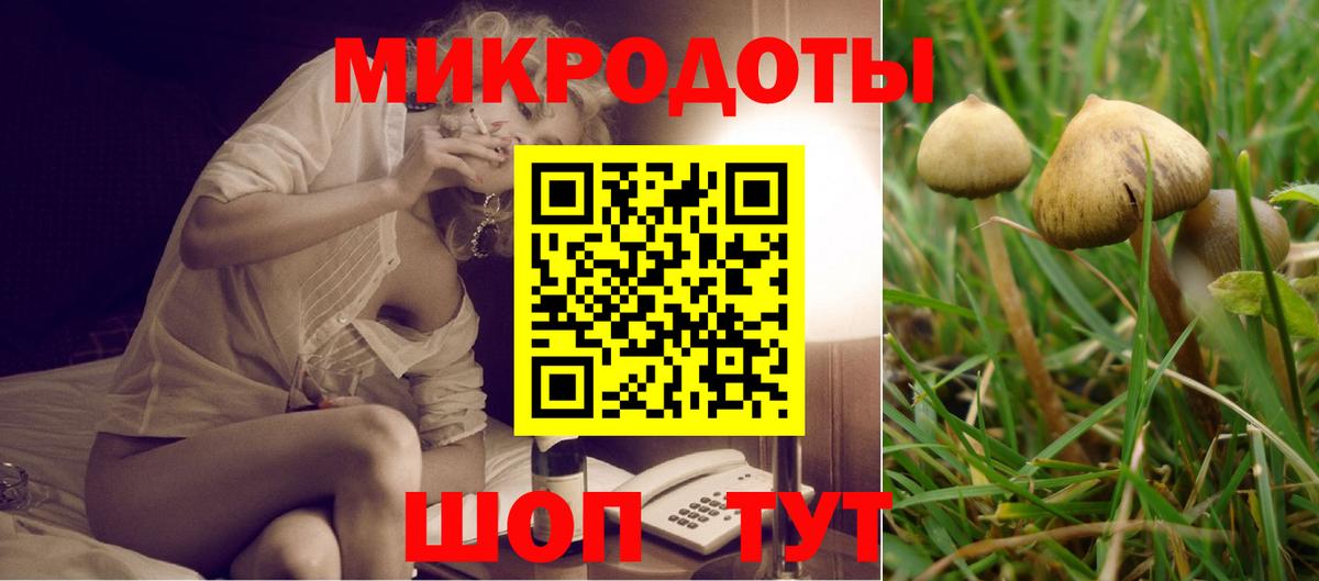 Галлюциногенные грибы Cubensis Нефтеюганск